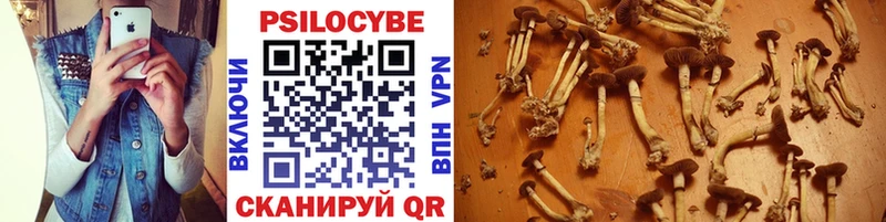 Галлюциногенные грибы Psilocybine cubensis  omg вход  Пестово  даркнет сайт 